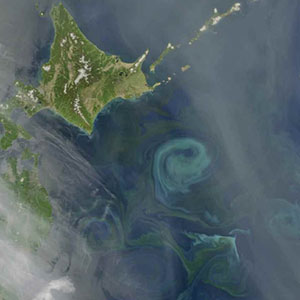 Probing the Black Current | NASA Earthdata