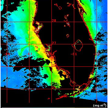 Image of the Florida coast on September 17, 2001 captured by SeaWiFS showing algal blooms.