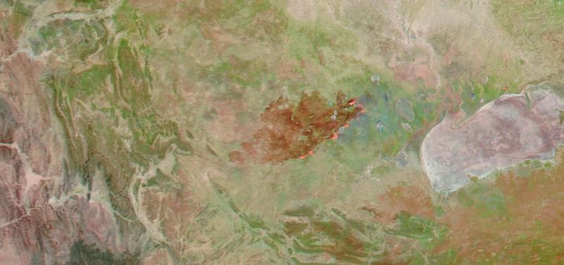 False-color Aqua-MODIS image of fires in Namibia, with fires appearing as red.