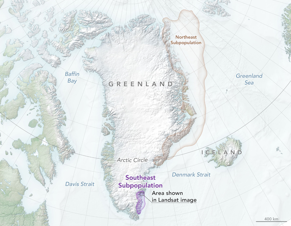 50 Astonishing Facts Unveiling Greenland S Population In 2024   Polarbears Greenland Map 2022 Lrg Art 