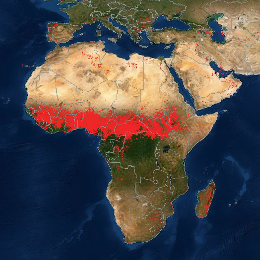 The Big and Small of Fire in Africa | NASA Earthdata