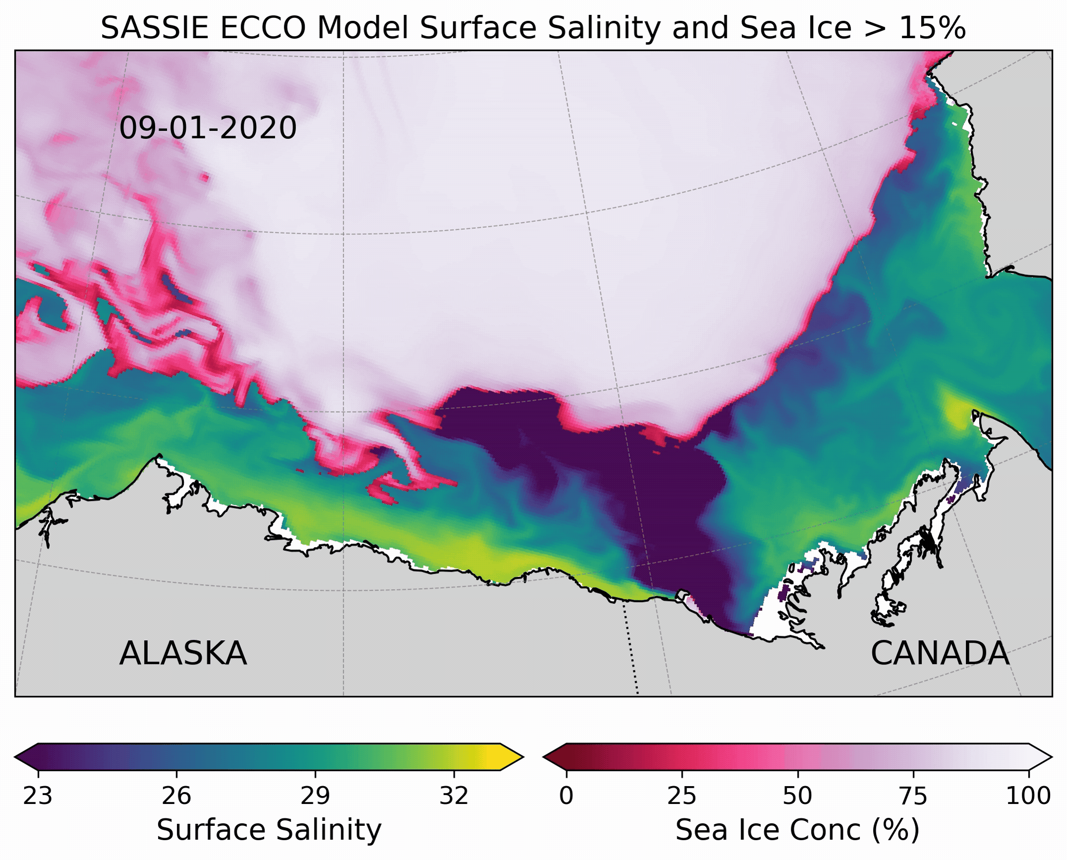 ECCO model of sea surface salinity and its relationship to sea ice in the Beaufort Sea.
