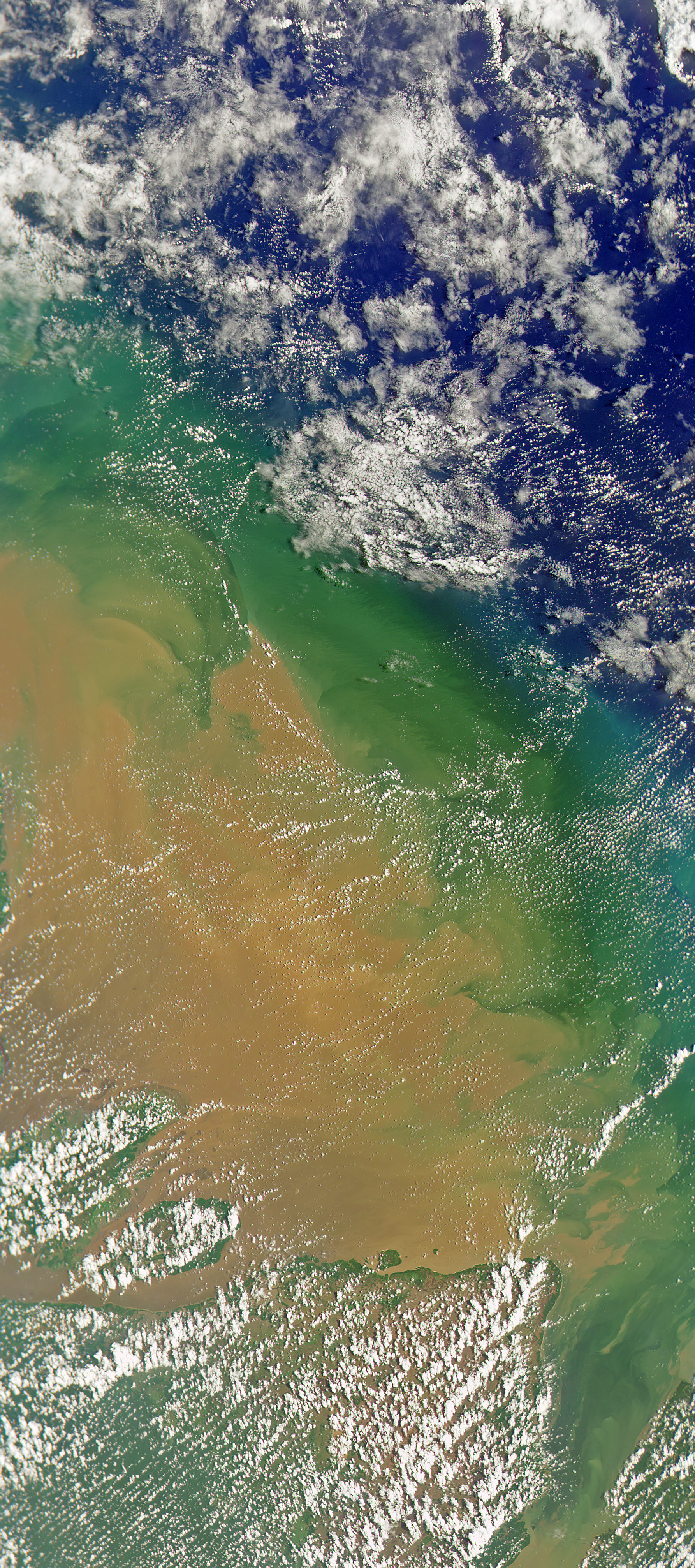 Mouth of the Amazon