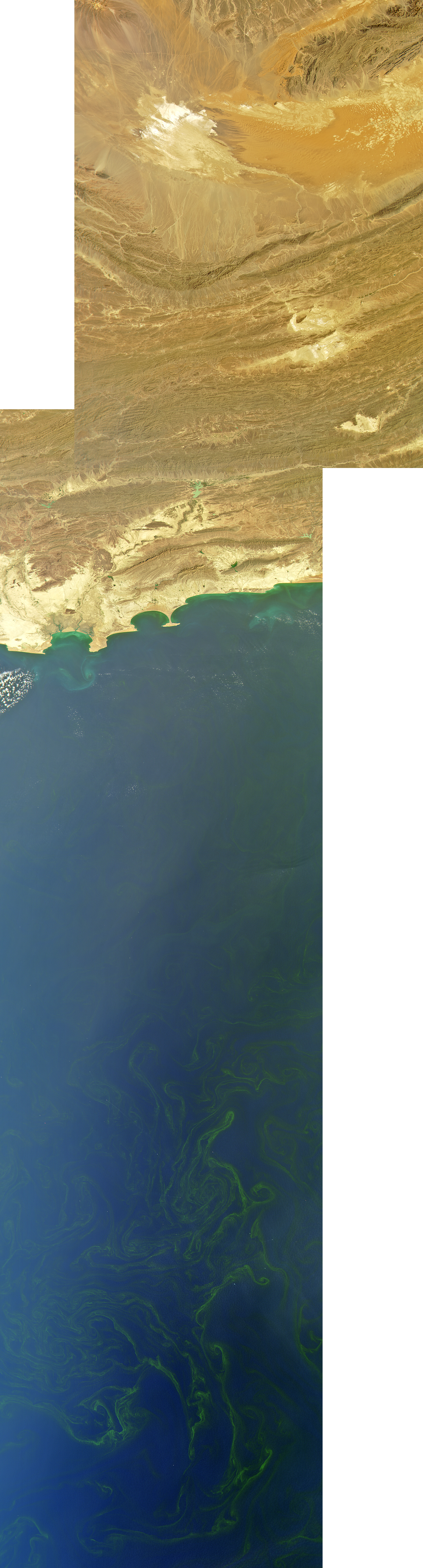 Arabian Sea