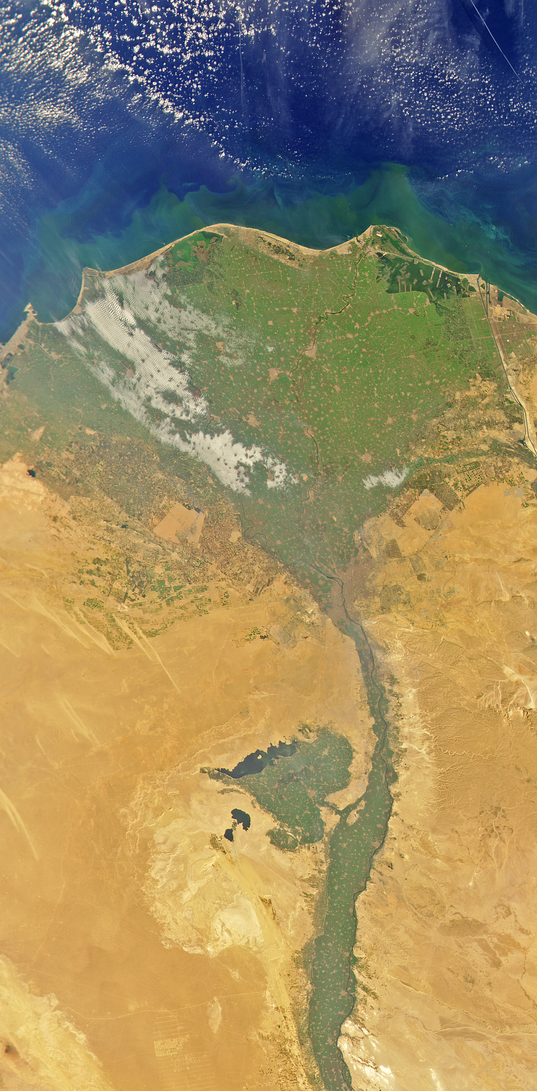 Cairo