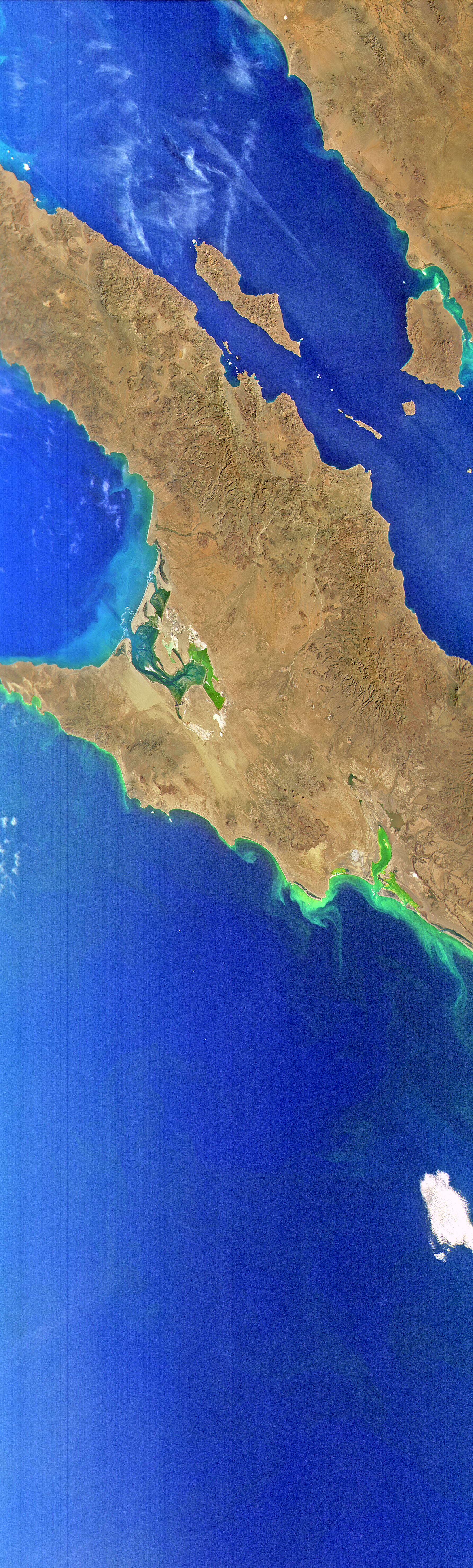 Central Baja