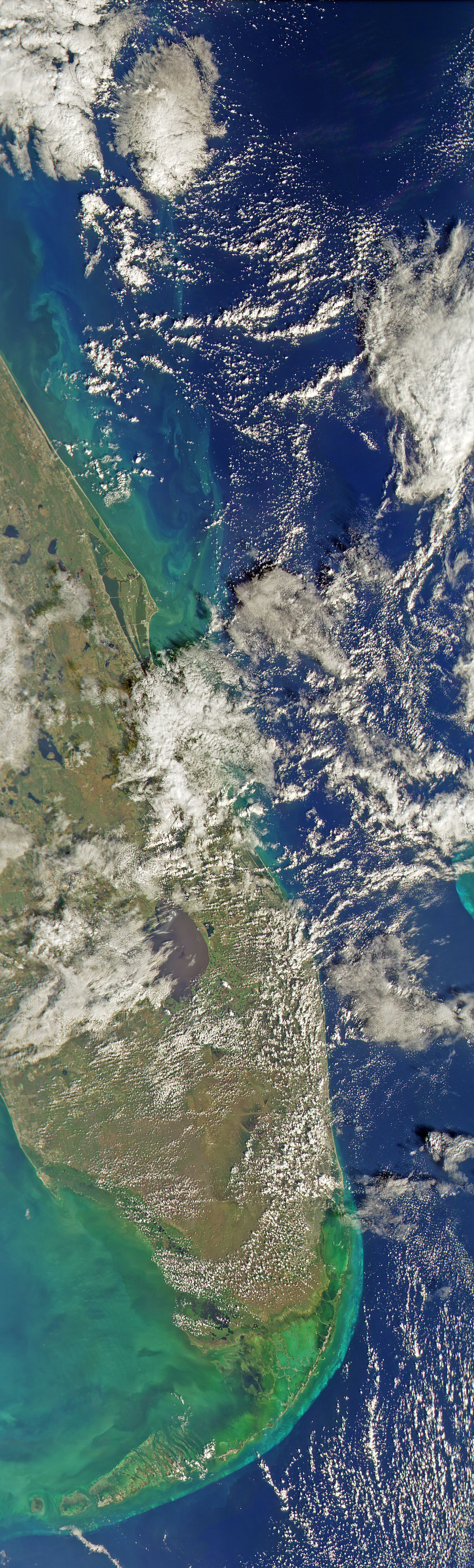 Florida Keys