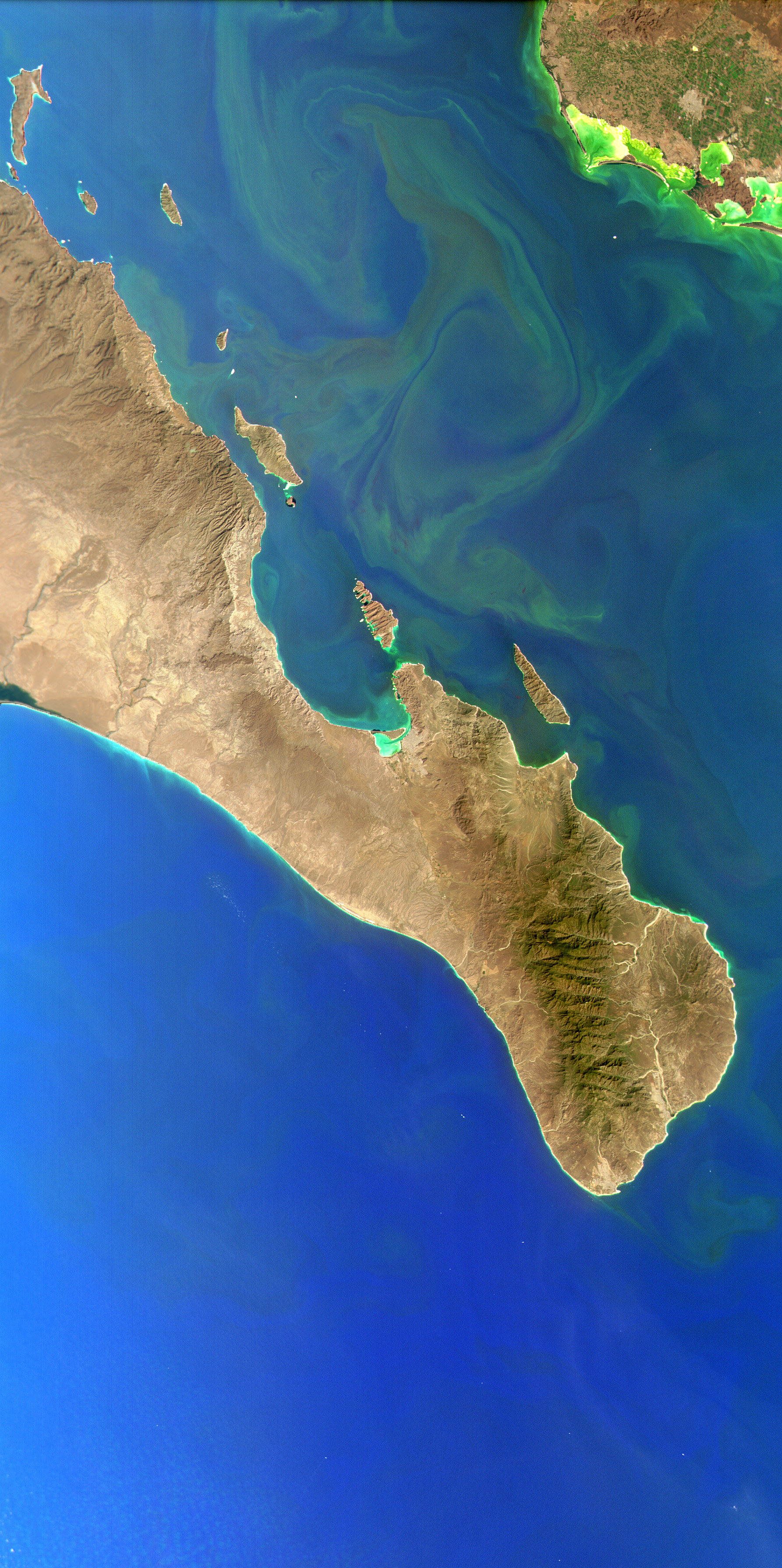La Paz and the Gulf of California