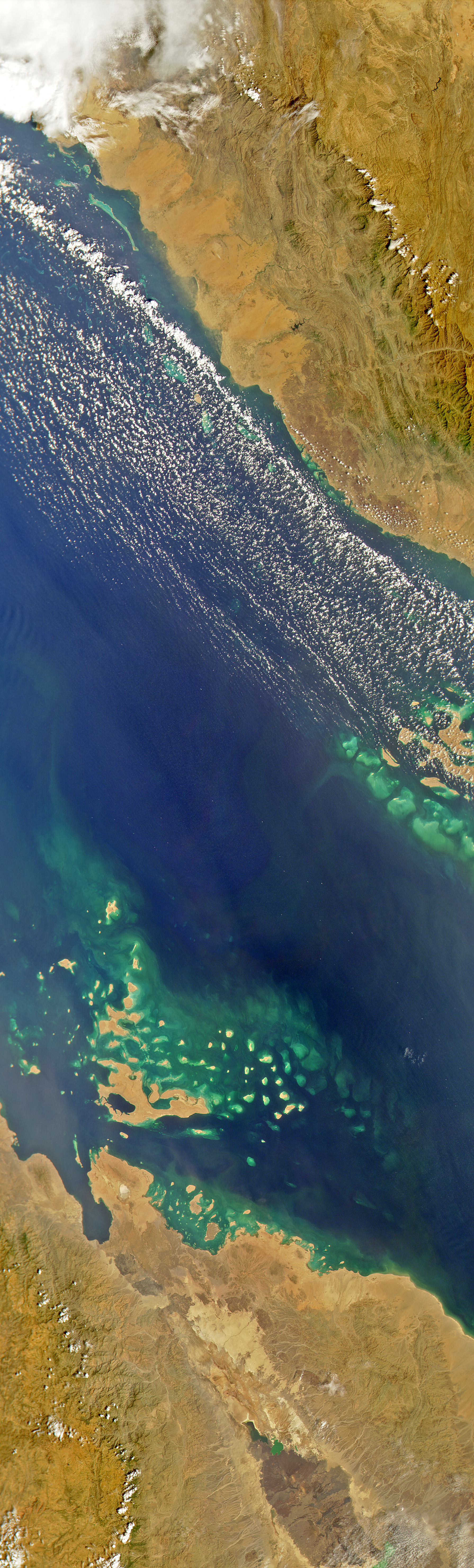Red Sea