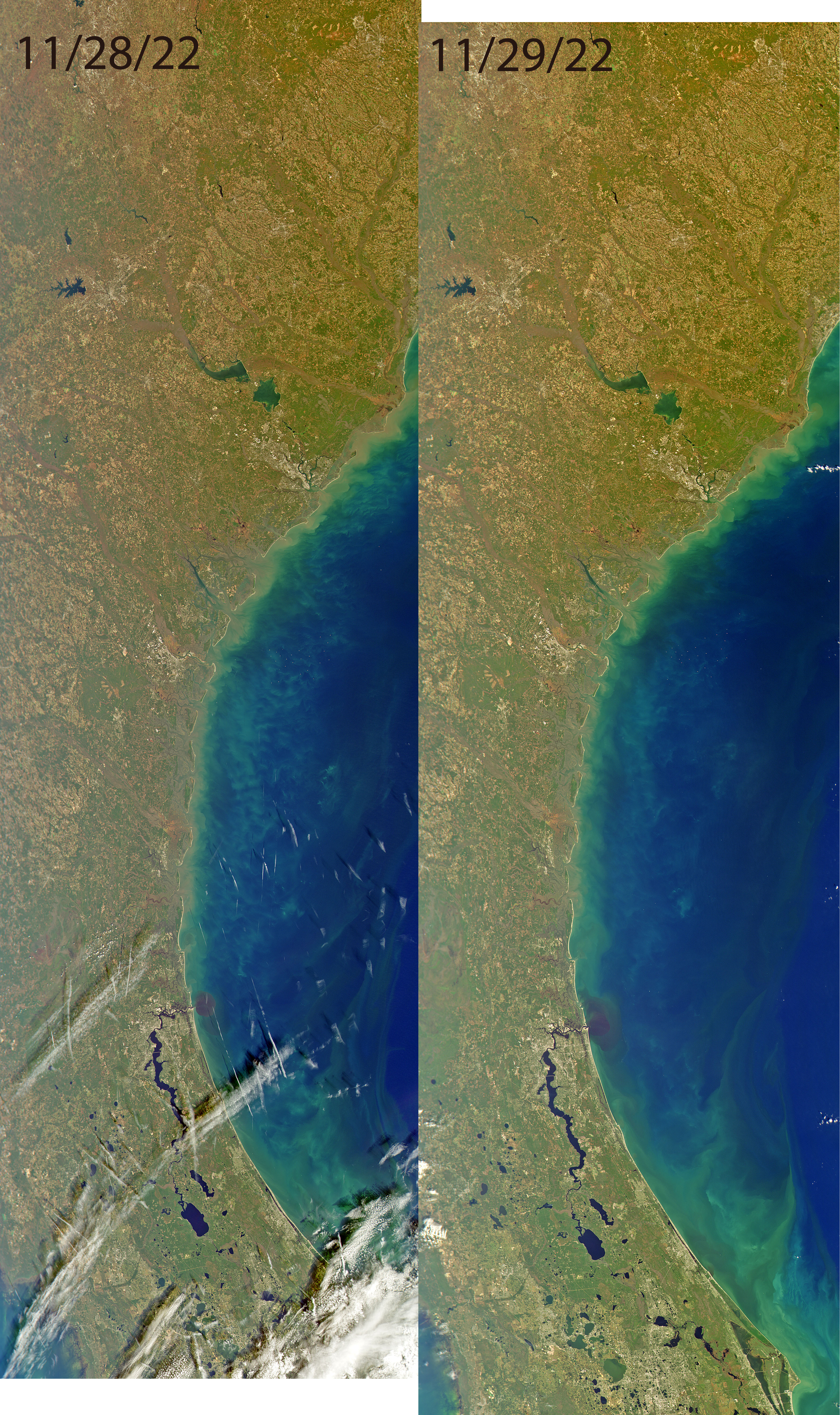 Savannah comparison over two days