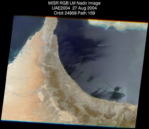 SaihSalem: Aug. 27, 2004, Nadir Camera 275 m Local