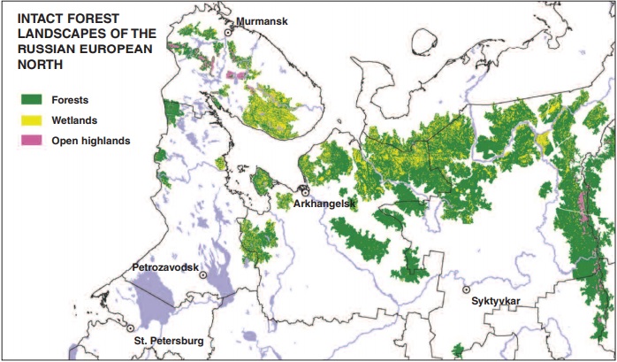 Global Forest Watch Russia