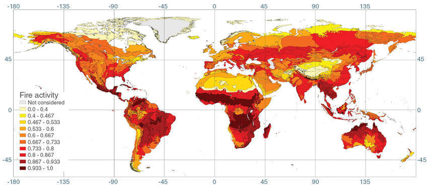 Map of global fire activity