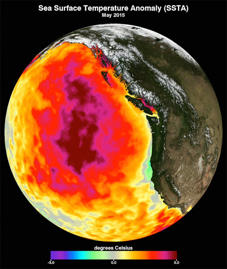 Data image showing Pacific Ocean warming in 2015