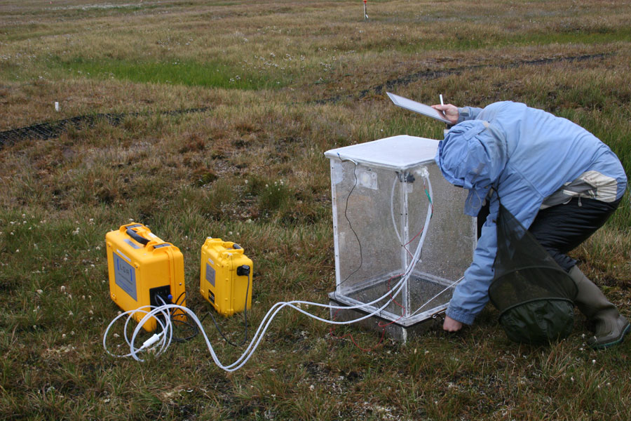 Photograph of a field assistant checking instruments