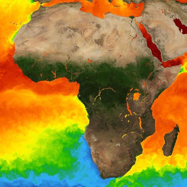 SOTO image of sea surface temperature image of Africa with colors around the continent indicating sea surface temperature; coolest temperatures (blue) are at the southern tip of Africa; warmest temperatures (orange/red) are mid-continent.