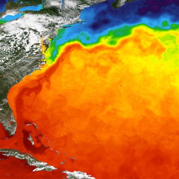 GHRSST Sea Surface Temperature showing the Gulf Stream of the Atlantic Ocean on 29 May 2024