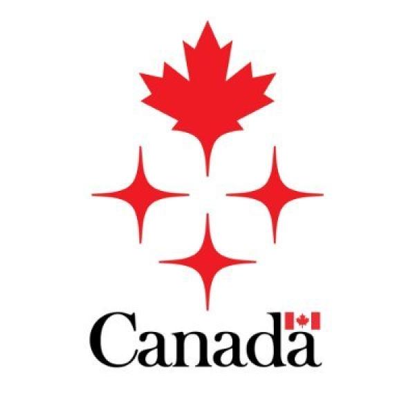 A red maple leaf is positioned above three red stars and the word Canada, with a small Canadian flag sitting above the last "a".