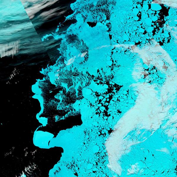 satellite data image of sea ice