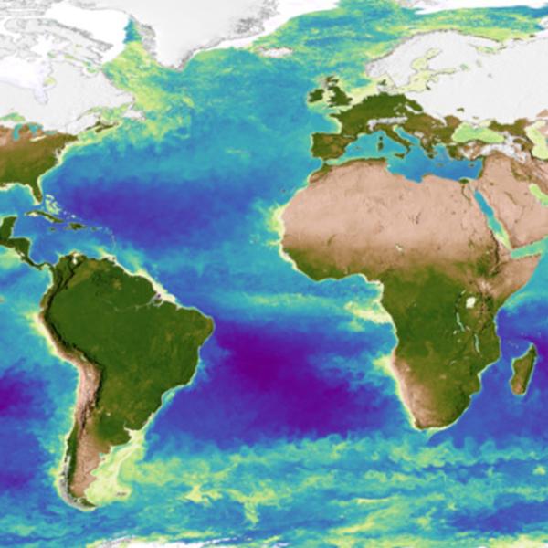 image of data vizualization showing sea level rise