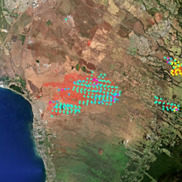 This map combines a color image of Lahaina, Maui with different colored dots to show the development of a fire that burned there Aug. 8-10, 2023.. Each dot marks a spot where a fire was detected. Dots are colored orange, yellow, green, blue or pink corresponding to when the fires were detected.