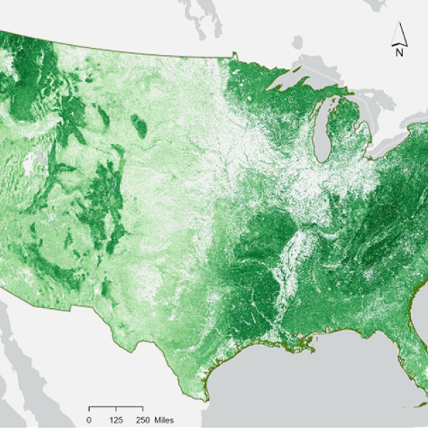 ICESat-2 30-meter gridded canopy height map across the contiguous US based upon ICESat-2 canopy heights and ancillary Landsat, LANDFIRE and topographic variables for 2020. 