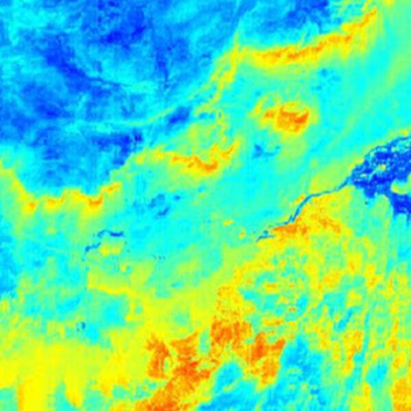 This is a rectangular image showing the temperature of vegetation and land. A majority of the image is colored blue and aqua to indicate cooler temperatures. The upper-middle and lower portions of the image include patches of yellow and red to represent warmer temperatures.