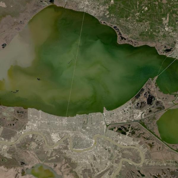 True-color image of Lake Pontchartrain and New Orleans on 2 February 2025 from the OLI instrument aboard the Landsat 8 satellite True-color image of Lake Pontchartrain and New Orleans on 2 February 2025 from the OLI instrument aboard the Landsat 8 satellite