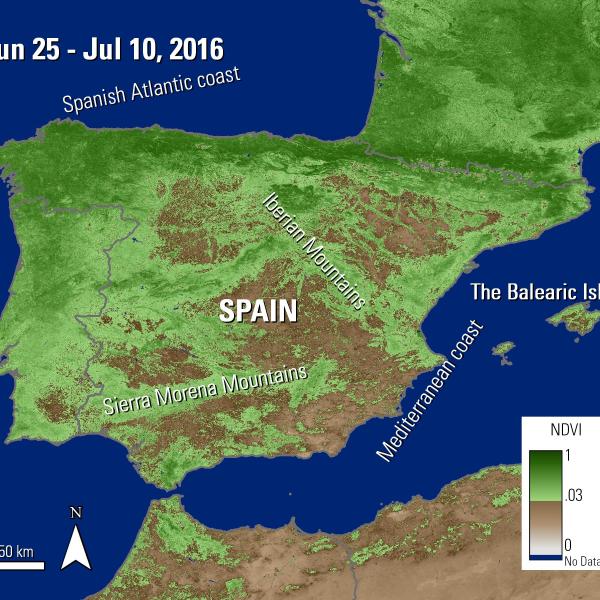 The MODIS NDVI layer over Spain and the Balearic Islands. Vegetation is shown in various shades from brown to dark green. Areas in north and western Spain are show as green, where as areas in southern and East Spain are more brown.