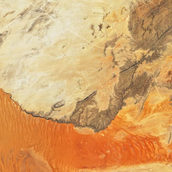 An aerial image of sand dunes in the Namib Desert, which abruptly stop when they hit the Kuiseb River.