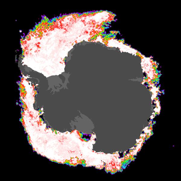 In this image of sea ice concentration around Antarctica, 12 km pixels are colored in different colors from black to white to indicate areas of 0-100% concentration.