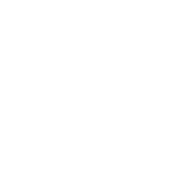 CONAE logo