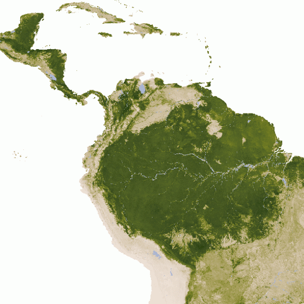 Multi-year average of the leaf area index of the Amazon based on Terra MODIS data