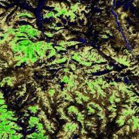 A visualization of Normalized Difference Vegetation Index (NDVI) data over northern Mongolia on October 20, 2023, from the ECOSTRESS ECO_L2T_STARS V002 product.