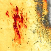 agricultural burns near Wichita, Kansas