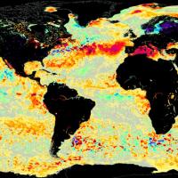 Image of sea surface temperature anomalies for June 8, 2025 from the Group for High Resolution Sea Surface Temperature (GHRSST) sea surface temperature analysis product.