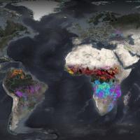 Monthly burned area for the MODIS and VIIRS products for 2024 displayed in FIRMS.