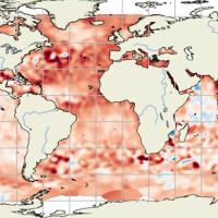 Gridded ocean height measurements from Sentinel-6 Michael Freilich (Sentinel-6A) observations from Oct. 8-17, 2025