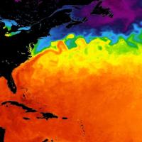 Sea surface temperature image of the eastern coast of the US showing the Gulf Stream on 10 June 2026 from the GHRSST MUR product 