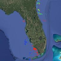 Landsat data visualized using the STREAM tool