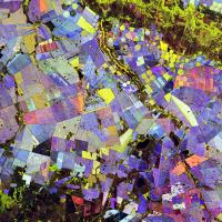 This false-color composite derived from NISAR data highlights vegetated areas (green), unvegetated surfaces (red), and how rapidly the vegetated areas changed (blue) during the 2025-2026 growing season in an agricultural region of South Africa. 