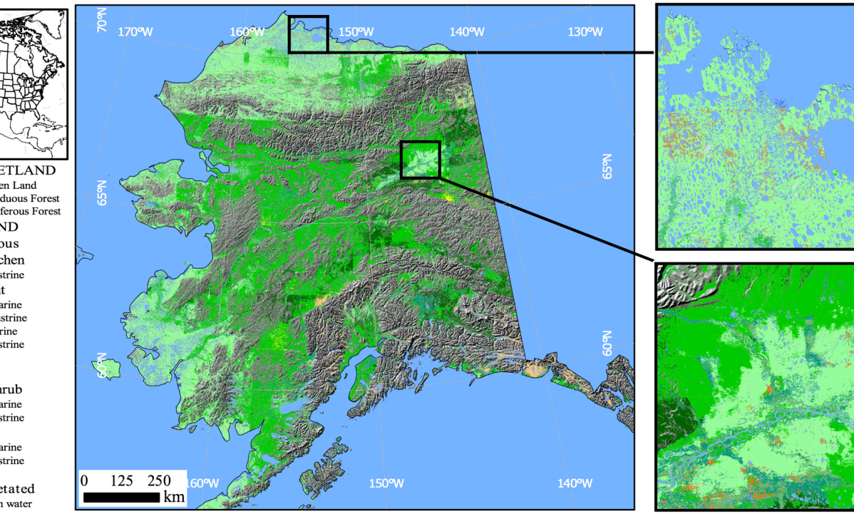 PALSAR Wetlands Map of Alaska