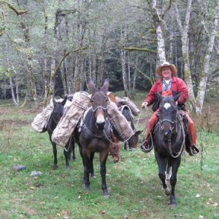 Olympic National Park mule packer Daniel Boone Jones leads a team of mules carrying OLYMPEX ground instruments, batteries, and supplies to field sites. 