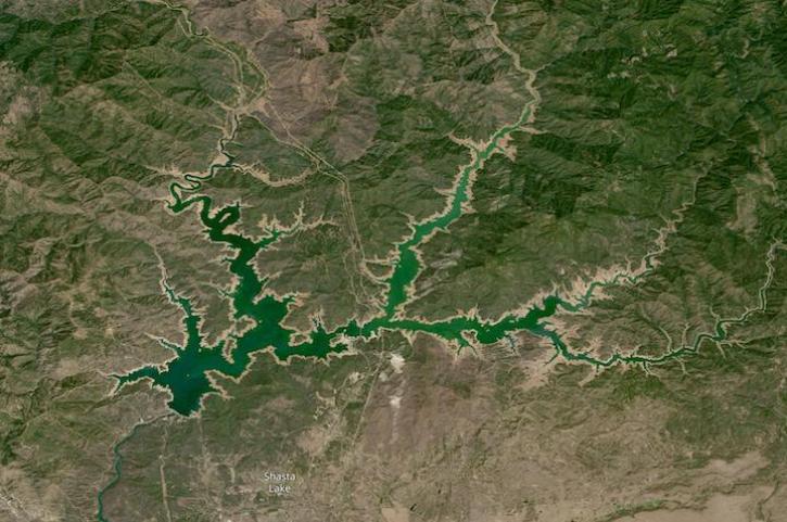 True color Landsat 9 image of Shasta Lake at low capacity, exposing the brown shoreline of the reservoir, on Aug 14, 2022