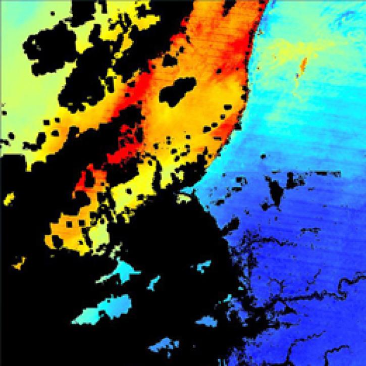 image of MODIS geotiff data