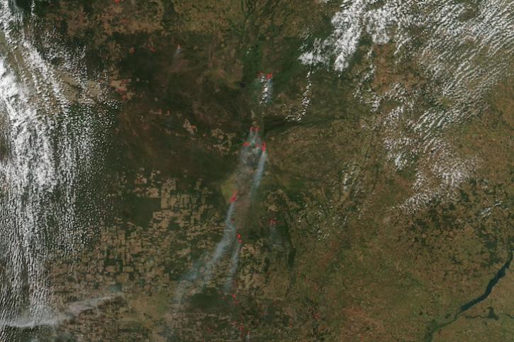 True-color corrected reflectance image of fires in Brazil's Pantanal on 12 June 2024 from the VIIRS instrument aboard the Suomi-NPP satellite