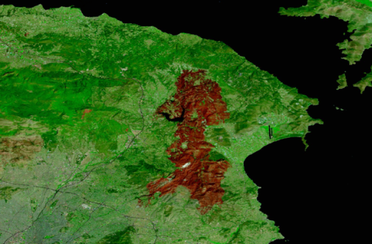 false color image of land with large reddish area on right side indicating burned area; black area on far right indicates water