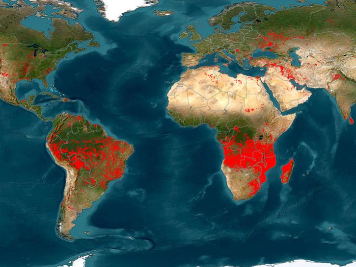 FIRMS global fire location map