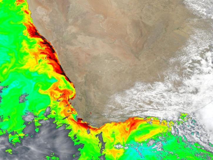 True color corrected reflectance image overlaid with chlorophyll a concentrations of southwestern South Africa from the OCI instrument aboard the PACE platform 