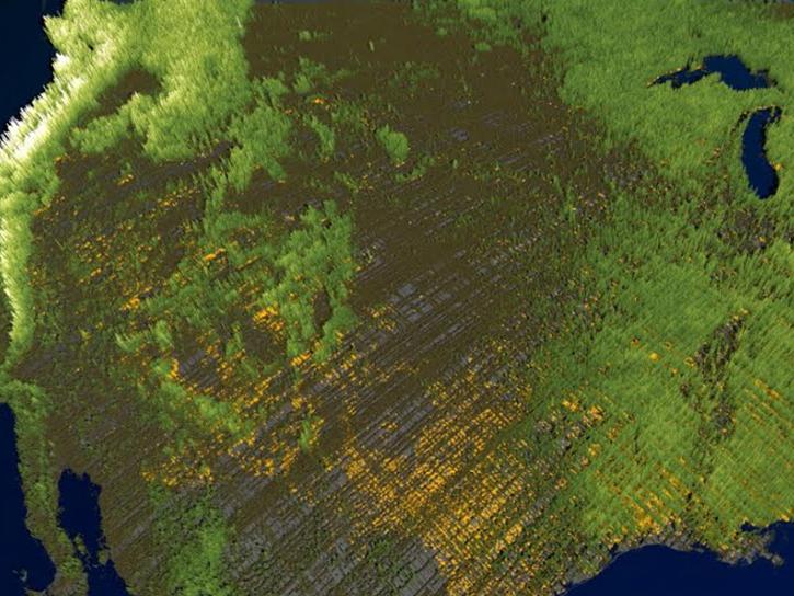 image of sea floor data